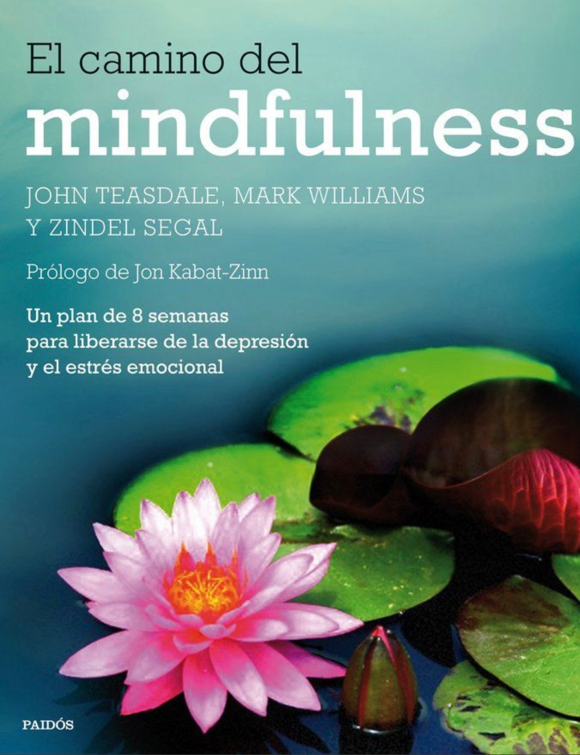 EL CAMINO DEL MINDFULNESS