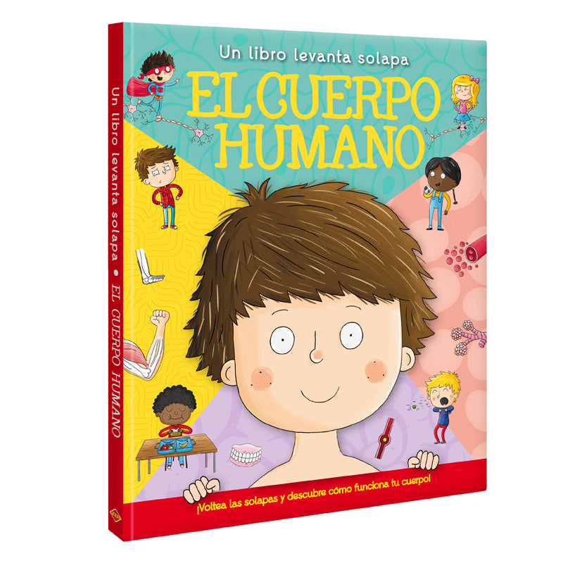EL CUERPO HUMANO
